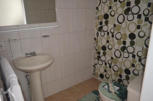 a bathroom with a sink and a shower curtain at Seaview Apartments in Cudjoe Head