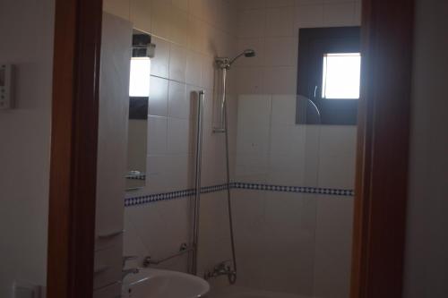 y baño con ducha y lavamanos. en LUX-Palacio Fibes en Sevilla