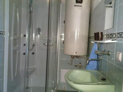 a bathroom with a shower and a toilet and a sink at Chalupa EL DORADO in Chanovice