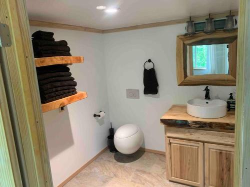 a bathroom with a sink and a mirror at Brother Bear Lodge at Talkeetna in Talkeetna