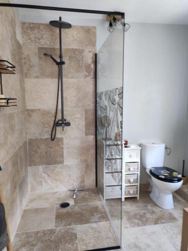 a bathroom with a shower and a toilet at le pavillon in Vire-sur-Lot