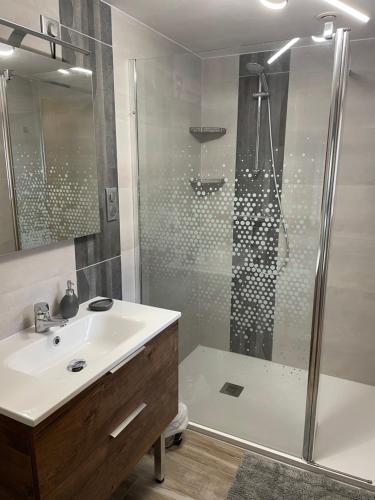 ein Badezimmer mit Waschbecken und Dusche in der Unterkunft gite cocoon neuf proche GERARDMER in Vienville