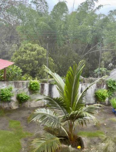Taman di luar Casa en Misahualli - Misahualli HOME