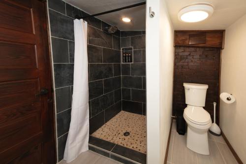 a bathroom with a shower and a toilet at The Frenchman Suites in Silverton
