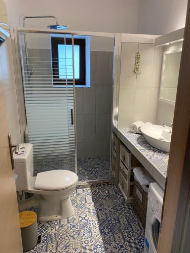 a bathroom with a toilet and a sink at Diakopi Villa in Skopelos Town