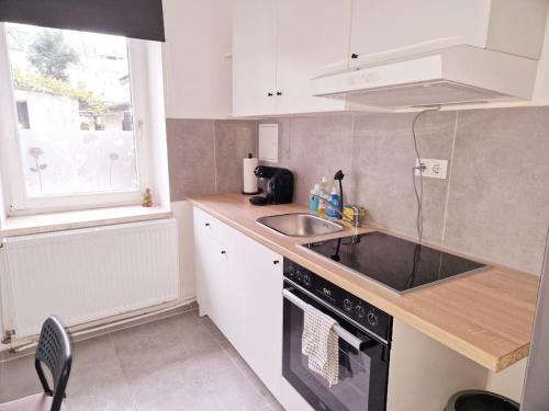 een kleine keuken met een spoelbak en een fornuis bij City Apartment in Bremerhaven