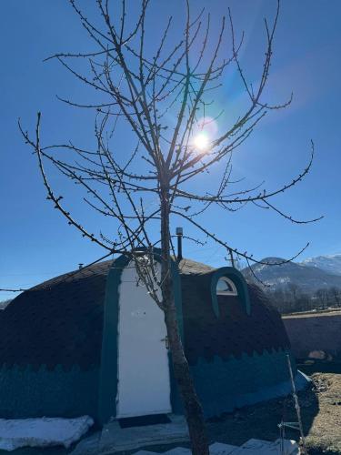a tree next to a building with the sun in the sky at In bookhari in Pushkino