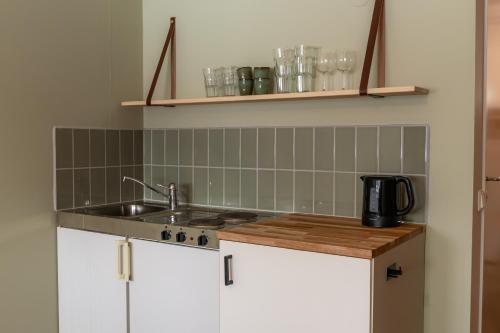 una cocina con fregadero y encimera en Glaskogen Apartments, en Glava
