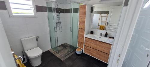 ein Bad mit einer Dusche, einem WC und einem Waschbecken in der Unterkunft Les Gîtes Kajou in Bouillante