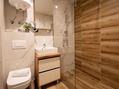 a bathroom with a shower and a toilet and a sink at Lux studio Andrej A43 Hotel Djina in Kopaonik