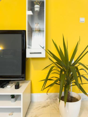 a potted plant in a room with a yellow wall at HILL 2 in Golubac