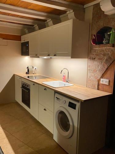 eine Küche mit einer Spüle und einer Waschmaschine in der Unterkunft La Dependance de la Villa des Oiseaux - La Petite Pierre in La Petite-Pierre