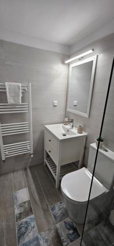 uma casa de banho com um WC, um lavatório e um espelho. em RR HOUSE APARTAMENTS em Rasnov