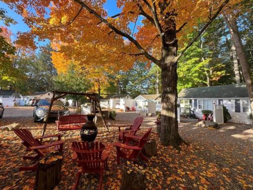 a group of chairs sitting under a tree at Main House - 3 Story 5 Bed/ 3 Bath - Wolfeboro in Wolfeboro