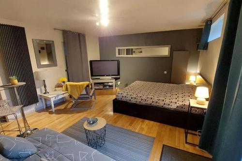Μια τηλεόραση ή/και κέντρο ψυχαγωγίας στο Studio cosy proche de Rennes