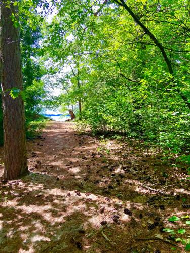 a dirt trail in a wooded area with trees at Elk Rapids Lakeshore Inn in Elk Rapids