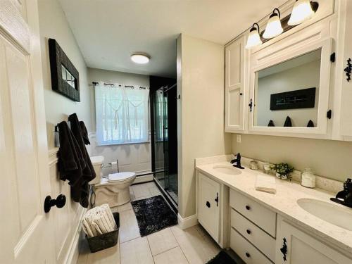 a bathroom with a toilet and a sink and a shower at Melvin Village - 5 Bed/3 Bath - Lake Winnipesaukee in Tuftonboro