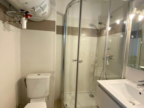 une salle de bain avec une douche, des toilettes et un lavabo dans l'établissement Appartement cosy proche thermes à Balaruc-les-Bains, animaux admis - FR-1-503-92, à Balaruc-les-Bains