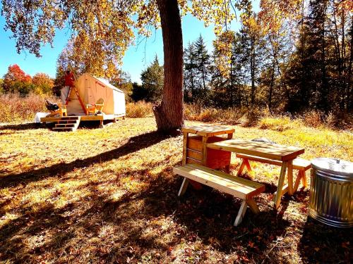 stół piknikowy i ławka w cieniu drzewa w obiekcie Open Sky w mieście Cumberland