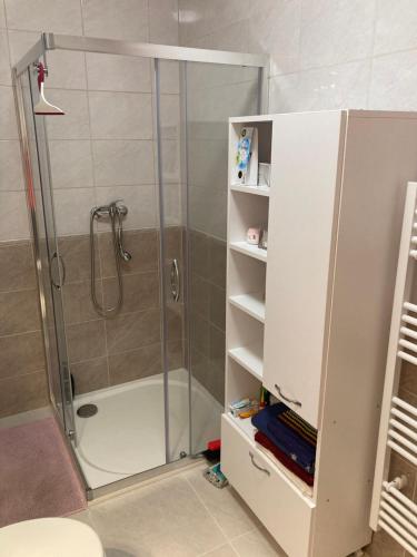 um chuveiro com uma porta de vidro na casa de banho em Apartmán Alicante em Dunajská Streda