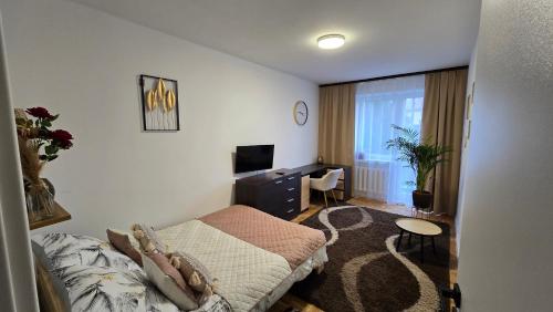 a bedroom with a bed and a desk and a television at Duże pokoje w nowoczesnym stylu in Kielce