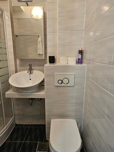 a bathroom with a toilet and a sink at Studio apartment Gigi in Zagreb