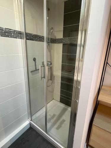 a shower with a glass door in a bathroom at Charmant appartement in Béguey