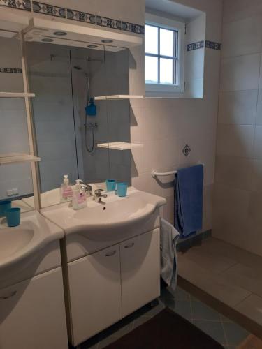 a bathroom with a sink and a mirror at Am Arkadenhof in Deutsch Haslau