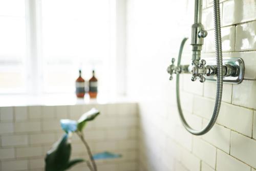 a shower in a bathroom with a plant at The architects' house in Stockholm