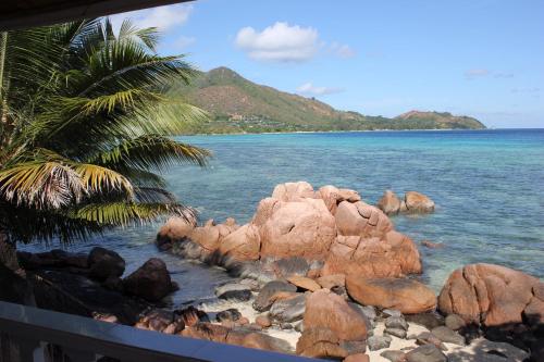 a beach with rocks and a palm tree and the ocean at Coin D'or in Anse Possession