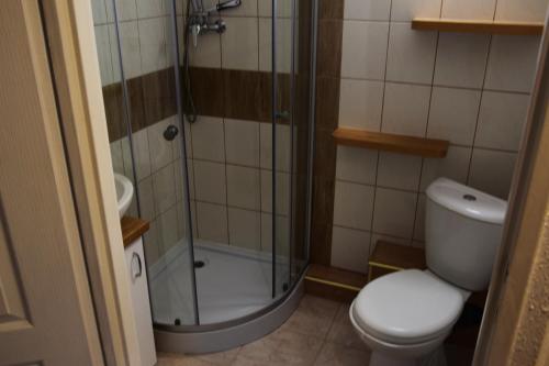 uma casa de banho com um chuveiro, um WC e um lavatório. em Apartament Czos Kominek Premium em Mrągowo