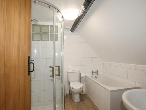 a bathroom with a toilet and a sink and a shower at 5 The Crescent in Caernarfon