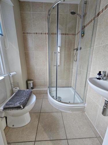 a bathroom with a shower and a toilet and a sink at ALLARDYCE in Kincardine