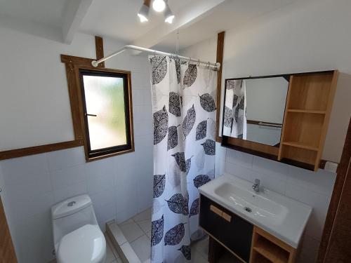 a bathroom with a toilet and a sink and a mirror at Refugio las Quemas in Futrono