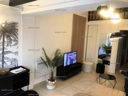 ein Wohnzimmer mit einem TV und einem Sofa in der Unterkunft Résidence Héliovillage - Maisons & Villas pour 4 Personnes 804 - Naturiste in Cap d'Agde