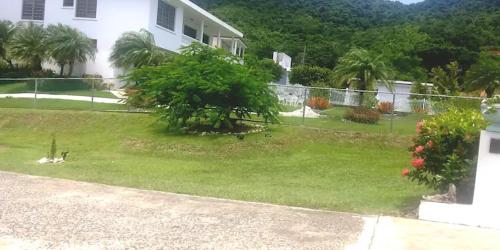 a yard of a house with a tree in it at Beautiful House With Gazeebo Close to Beach in Ceiba