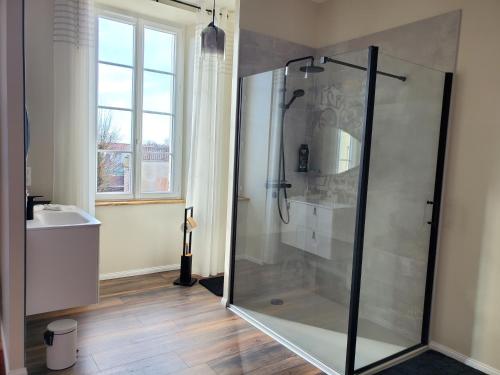 a bathroom with a shower and a sink at Domaine de la Gémolière in Gémozac
