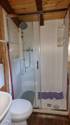 ein Bad mit einer Dusche, einem WC und einem Waschbecken in der Unterkunft Sunwaychalets Lago di Lugano in Porlezza