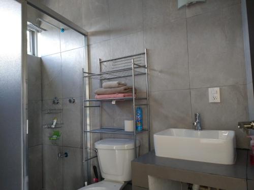 a bathroom with a toilet and a sink and a shower at Casa Narcisa Studio Apartaments in Mérida
