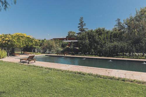 ein Schwimmbad mit Enten in einem Park in der Unterkunft Enlace Casa de Huespedes in Ciudad Lujan de Cuyo