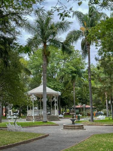a gazebo with a palm tree in a park at Roof Estudio con Terraza en Chapalita 27 in Guadalajara