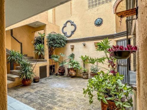 a courtyard with potted plants on the side of a building at Roof Estudio con Terraza en Chapalita 27 in Guadalajara