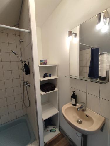 een badkamer met een wastafel en een douche bij Le Faubourg in Saint-Quentin