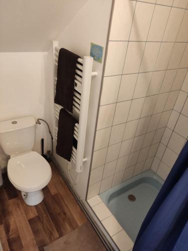 een kleine badkamer met een toilet en een douche bij Le Faubourg in Saint-Quentin