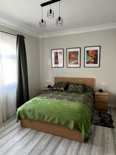 a bedroom with a bed with a green blanket at Apartamento Turístico Plaza I in Monforte de Lemos