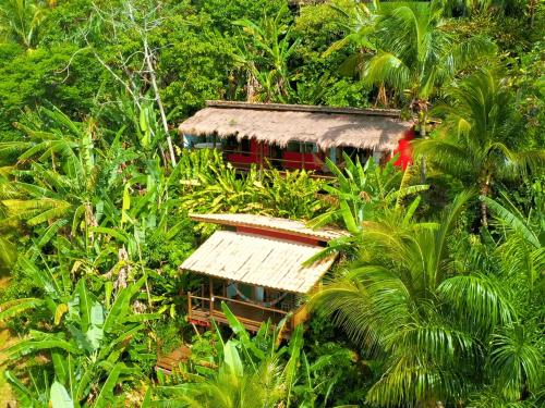 a small house in the middle of a jungle at Bangalô Ilhabela in Ilhabela