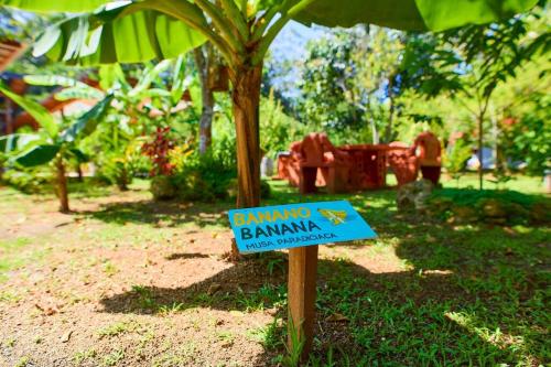 a sign in the grass next to a banana tree at Casa Jeffrey - Beach Escape, Stunning views, Private Pool Steps to Ocean in Puerto Viejo