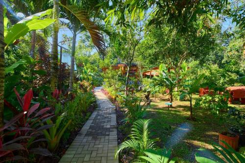 a path through a garden with trees and plants at Casa Jeffrey - Beach Escape, Stunning views, Private Pool Steps to Ocean in Puerto Viejo