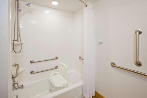 a bathroom with a shower and a bath tub at Hampton Inn Duluth-Canal Park in Duluth