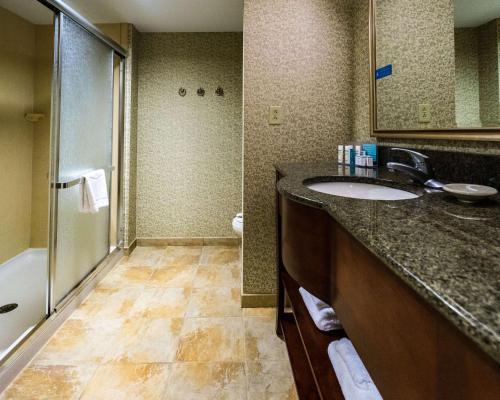 een badkamer met een wastafel en een douche bij Hampton Inn Easton in Easton